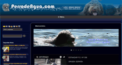 Desktop Screenshot of perrodeagua.com